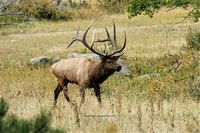 East Side, Rocky Mountain National Park, Colorado