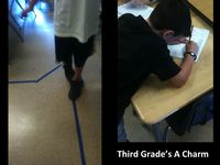 3rd Grade's A Charm: Measuring, Counting, and Graphing...Oh My!