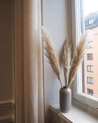 L’herbe de pampa - TRAITS D'CO Magazine