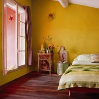 Mustard yellow | Amarillo mostaza