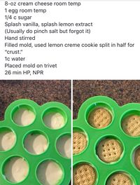 Instant pot cheese cake in individual egg bites