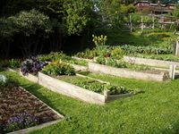 Promise Garden: Hillside garden ideas