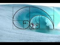 Fibonacci Everywhere! – Wolfgang Pfretzschner – Medium