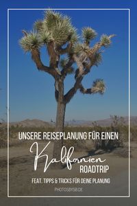 Sieh dir unsere Reiseplanung für einen Roadtrip durch Kalifornien an und hol dir viele Tipps für deine nächste Planung.