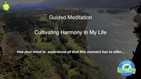 TPBD Guided Meditation: 10 Wellbeing Affirmations (+playlist) We've almost reached mid-week take 5 minutes for yourself with this meditation. Several small breaks throughout the day can help align positive energy for a more creative and prosperous day.