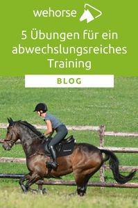 Dressur, Gelände, Springen. Drei Disziplinen, die die ganze Bandbreite von Pferd und Reiter fordern. Für sie braucht es nicht nur Eleganz und Ausdruck, sondern auch Kraft und Ausdauer, Geschicklichkeit und Mut. Die vielseitige Ausbildung, die Abwechslung im Training und die Förderung verschiedener Fähigkeiten hat durchaus Vorteile für das Pferd. Warum und wie du das für dein Training nutzen kannst, zeigen dir unsere wehorse-Trainer. #vielseitigkeit #wehorse #onlinereitschule