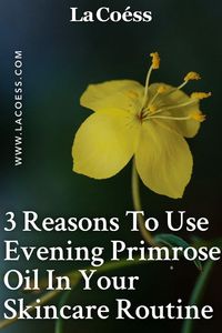 what is evening primrose oil, and why should you consider adding it to your skincare routine? In this article, we will provide an overview of evening primrose oil and its potential benefits for skincare. We will also explain how to incorporate evening primrose oil into your skincare routine. So, if you want to learn more about this powerful ingredient and how to use it to improve your skin, keep reading. #skincaretips #faceoil #skincareobsessed #AntiAging