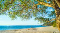 Cabuyal Beach seen under a Tree, Guanacaste - Costa Rica