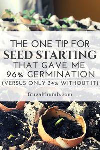 I planted some seeds with this free item and some without, and I couldn’t believe the difference in seed germination rates! A whopping 96% vs 34%. If you’re starting seeds indoors, you’ve gotta try this. #gardeningtips #startingseeds #frugalthumb