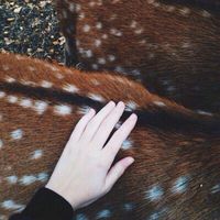witch mood boards | Tumblr
