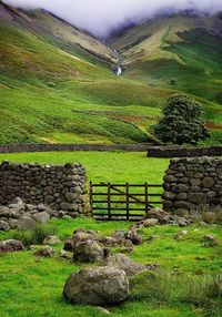 Read the first full-length novel of the Orphan Dreamer Saga: Orphan Dreamer and the Glass Tattoo by J. Nell Brown www.JNellBrown.com #IAmDaniela #IAmCillian #IAmanOrphanDreamer\ Walking in the footsteps of Wordsworth and Coleridge in England's incredible Lake District.