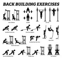 Back Body Building Exercises Fitness Train Training Muscle Gym | Etsy