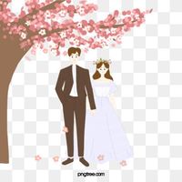 20+ Best Cartoon wedding Transparent Background Images Free Download