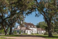 Southern Home on Instagram: “A pair of oak trees perfectly frame this classic Texan farmhouse. repost x @curtisandwindham | photography x Paul Hester . . . #repost…”