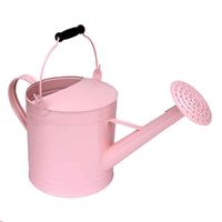Pastel Pink Enamel Watering Can Vase Centerpiece