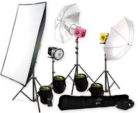 Alien Bee lighting set up. I'd love to be able to light in people's homes or in my own home when the weather turns foul.