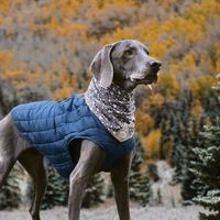 dog neck warmer