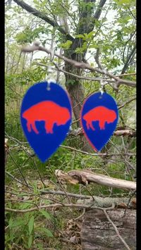 Perfect Buffalo earrings ❤💙❤
