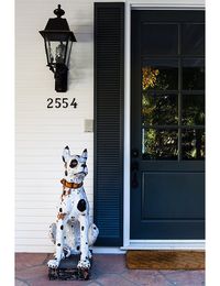 7 Fabulous Front Door Ideas