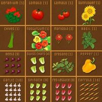 Square Foot Gardening Layout