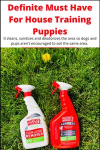 Definite must have for house training puppies. I purchased this back in 2017 and it's been in my house ever since. Perfect for dogs and puppies. Quickly cleans the area, sanitizes, and deodorizes so dogs aren't tempted to go in the same area. This has made potty training a breeze! Learn how to properly clean up after your dogs. #pets #dogs #puppies #pitbulls #Pitbullpuppies