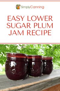 Low Sugar Plum Jam