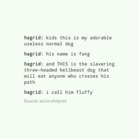 Ok Fang is not useless. He is adorable and is very useful. No dog is useless.