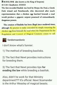 Isn’t Arthur Weasley the Newt Scamander of muggles?