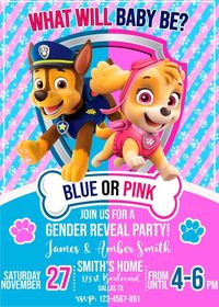 What Will Baby Be? Pink or Blue? Let Know it Soon in a Paw Patrol gender reveal Party. This will be a great idea for inviting to a paw patrol gender reveal celebratio #pawpatrol#genderreveal #invitation #genderevealinvitation #genderrevealparty
