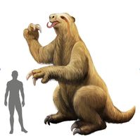 giant sloth - Google Search