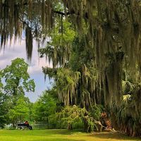 Hanging out on a bench in beautiful Audubon Park, New Orleans, Louisiana. A gorgeous park in the bustling Big Easy. The massive oaks are stunning 😍 #travelphotography #travelblogger #travelphotographer #audubonpark #neworleans #thebigeasy #traveldestinations