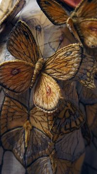 The Secret Garden | Michele Carragher