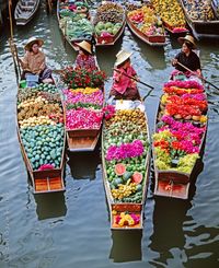 Blooming Canoes