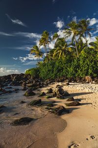 Footprints on the Turtle beach - Oahu, Hawaii by Vladimir Selivanov, via 500px