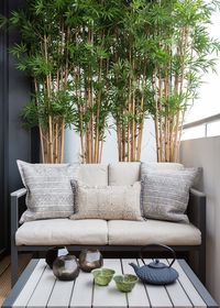 Browse small patio pictures. Discover new small patio ideas, decor and layouts to guide your outdoor remodel.