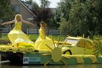 Holland vizi-virágkarnevál - Toochee