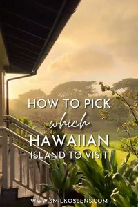 Planning a trip to the land of Aloha but not sure about which island is right for you? Check out this blog post to learn a little about each island is known for to find the one that suits your vacation needs! Beaches, rainbows, rum tasting, sunsets, turtles ... and so much more!