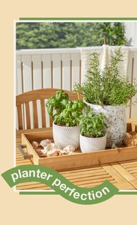 Give your backyard a fresh, maintenance-free touch of green with artificial plants from Overstock, where quality outdoor home goods cost less and you'll get Free Shipping on EVERYTHING!* #plants #outdoor #backyard #outdoordecor #backyarddecor #artificialplants #plasticplants #greenery #decorativeplants #decorativegreenery #stylishhome #homedecor #decor #decorativeaccents #yard #yarddecor #accentdecor