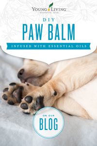 Give your pets some TLC with this DIY paw balm: https://goo.gl/UQ8v8k