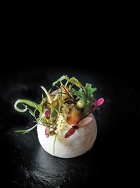 Vinegar meringue dressed with greens by Dominique Crenn of Atelier Crenn, San Francisco. Photo courtesy of Ed Anderson.