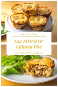 Low FODMAP Leftover Chicken Pies - My Gut Feeling - Low FODMAP recipes