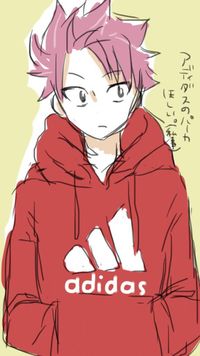 Fairy Tail Obsessed