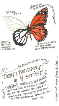 How to draw and color a butterfly from The illustrated garden, Val Webb