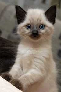 So 😍❤️🧡💜❣️ cute