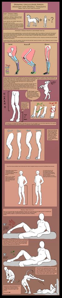 How To Draw Unguligrade Bipeds (IE: Hoofed People) by ~The13thBlackCat on deviantART