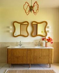 Image may contain Arachnid Animal Invertebrate Spider and Wood