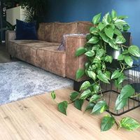 Johan Hazenbroek (@johanhazenbroek) • Instagram-foto's en -video's