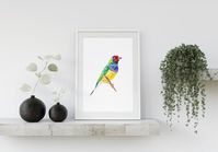 Watercolor bird print, wall art for printing, finch art #finch #gouldianfinch #print #wallart