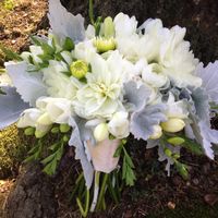 White dahlias, freesia, ranunculus and dusty miller - Decatur House Bridal Bouquet