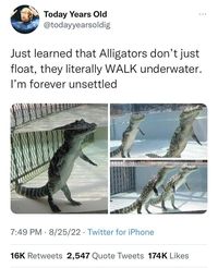 That's... interesting